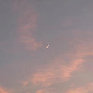 工作代理小狼导航
