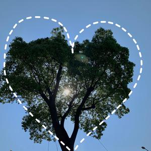 工作代理小狼导航
