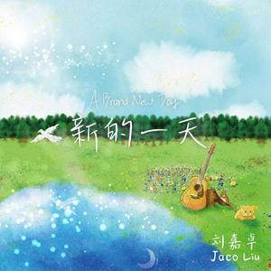 工作代理小狼导航
